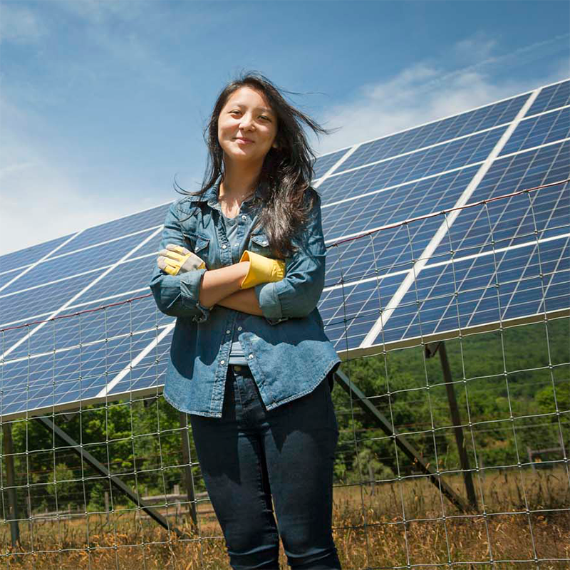 Average Cost Solar Panels 2025